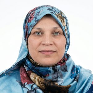 هياكل الدعم
